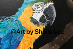 "Peaches" the Parrot SOLD