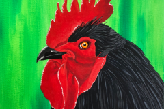 'Rocky the Rooster"