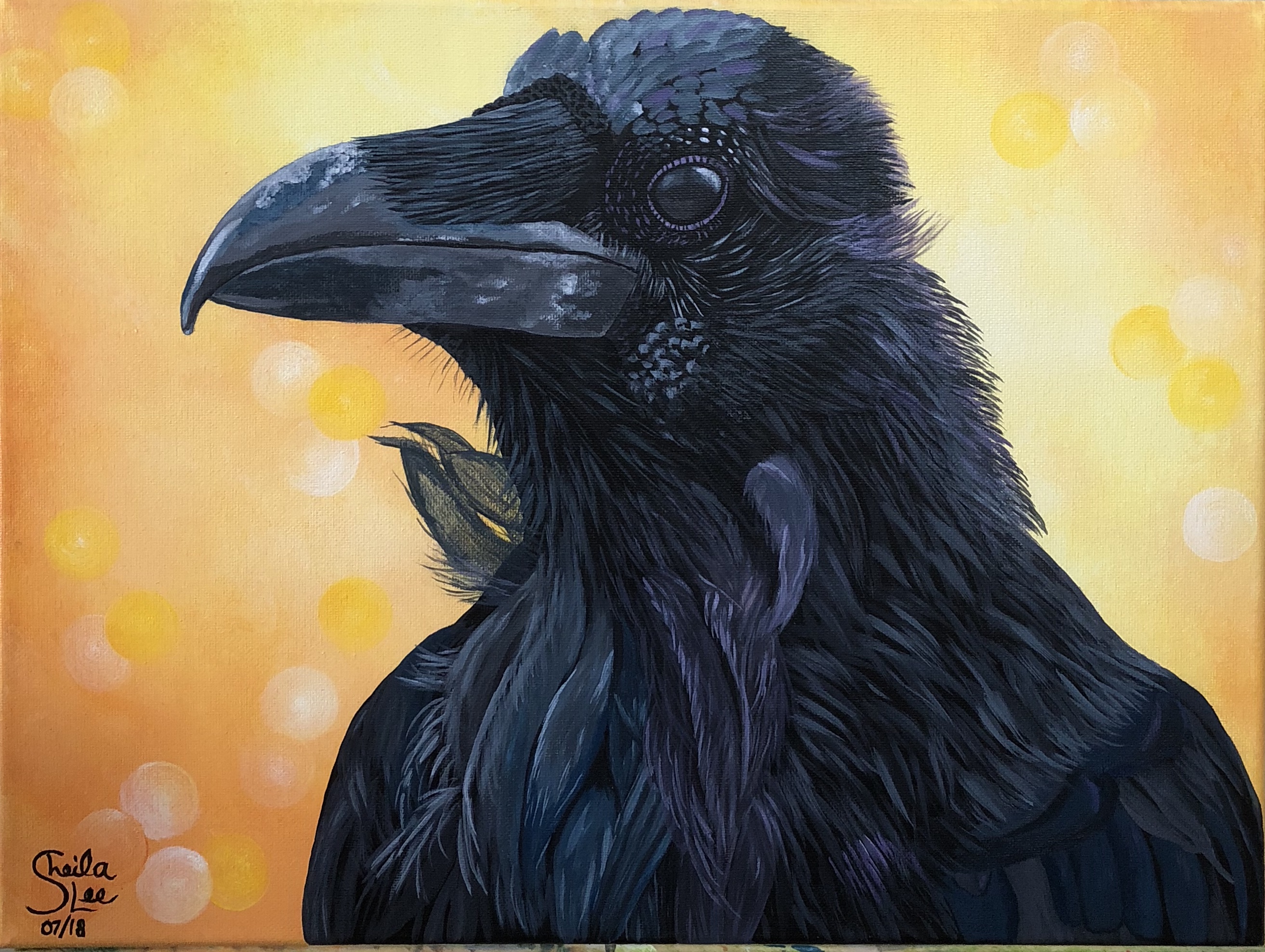 "Portrait of a Raven"